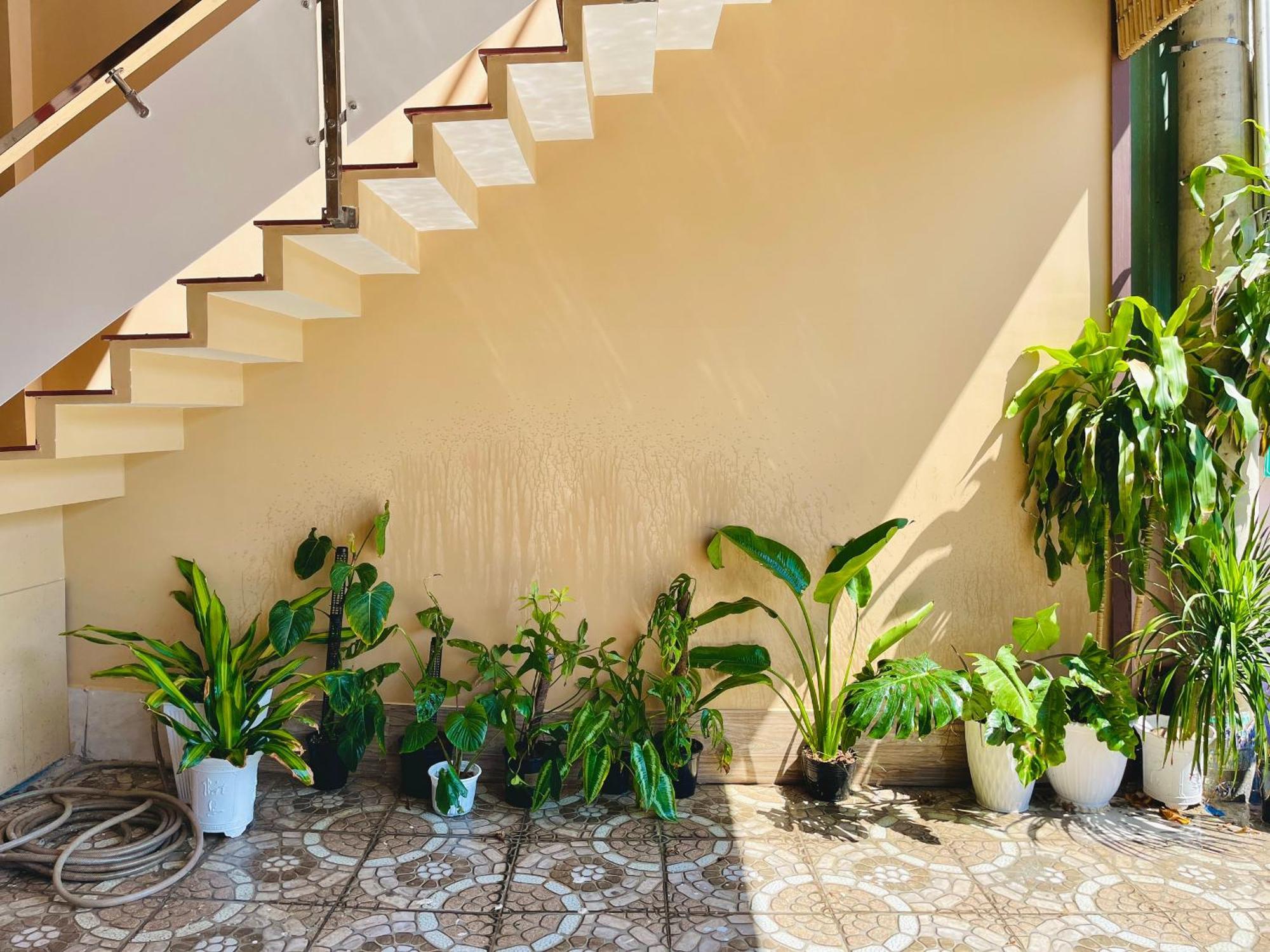 T'H Homestay موي ني المظهر الخارجي الصورة